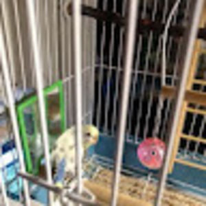 Meet your Posher, Scott